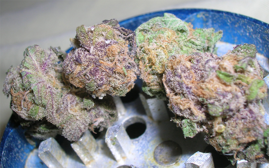 Purple Urkel