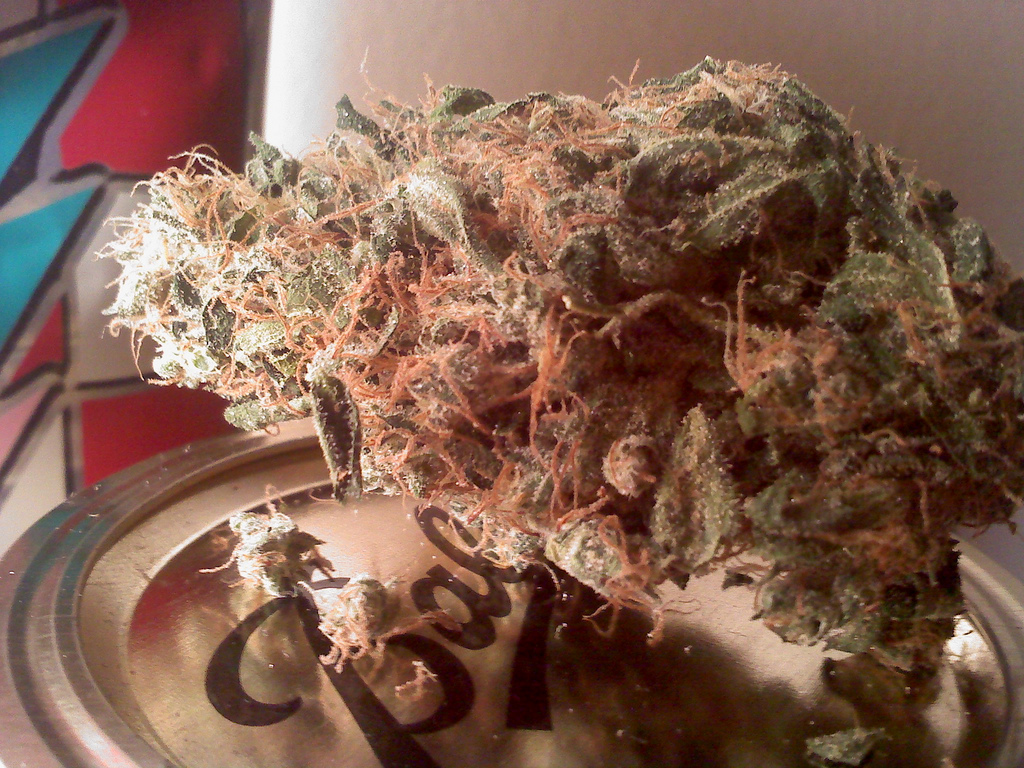 Sour Diesel