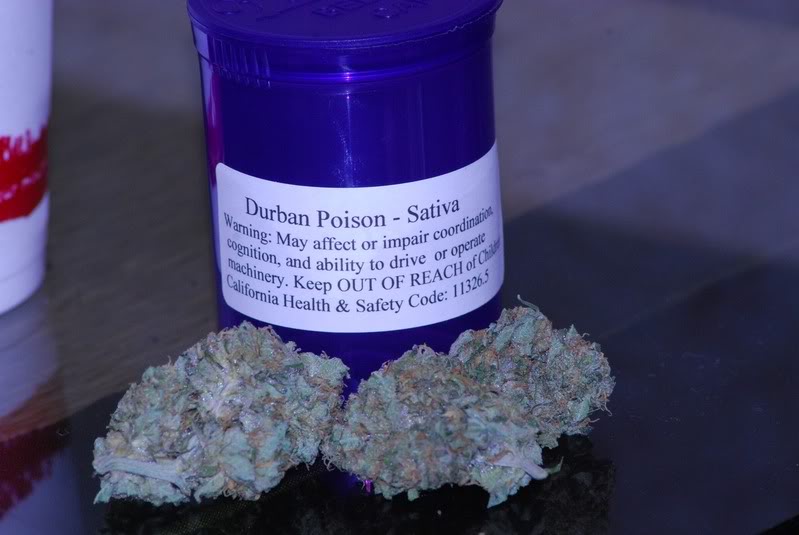 Durban Poison