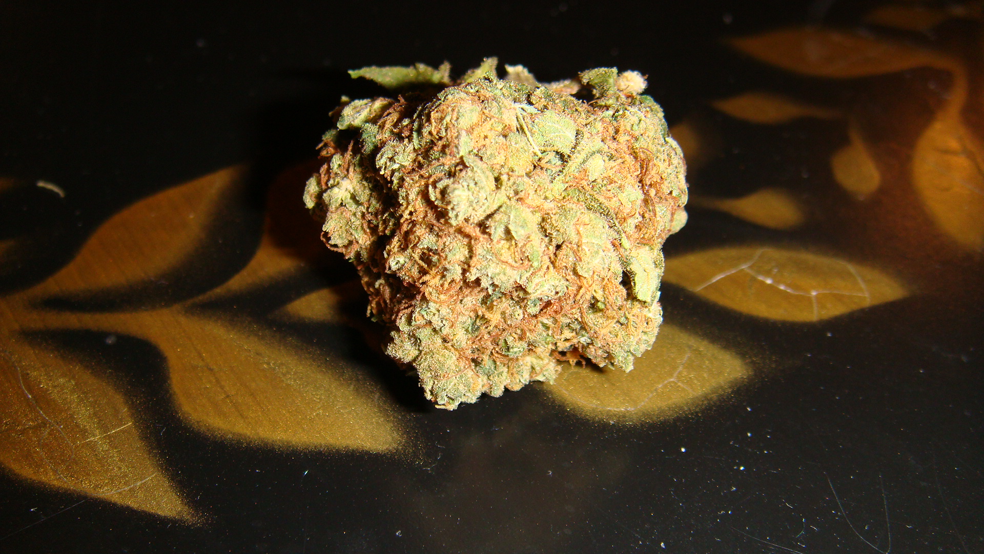 More Northern Lights Orange Crush