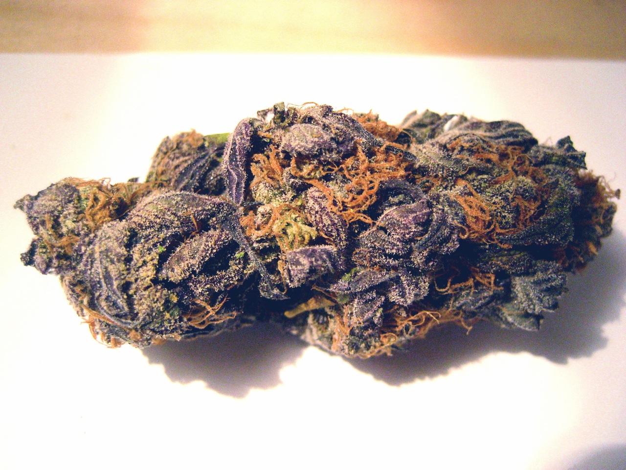 Purple+trainwreck+bud